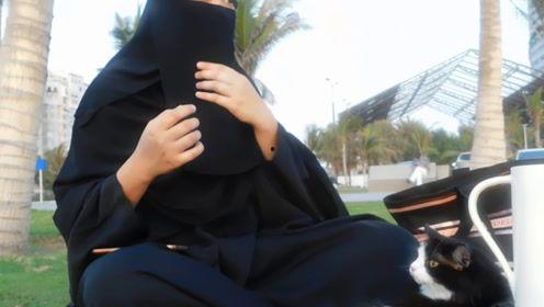 娱乐吃瓜君mv,揭秘娱乐圈背后的秘密与笑料